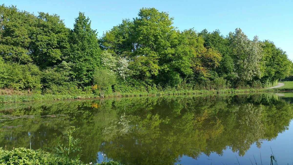 🌳 갸욜르 공원 (Parc des Gayeulles)